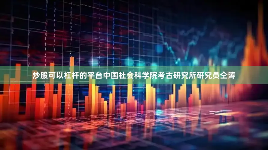 炒股可以杠杆的平台中国社会科学院考古研究所研究员仝涛