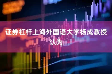 证券杠杆上海外国语大学杨成教授认为