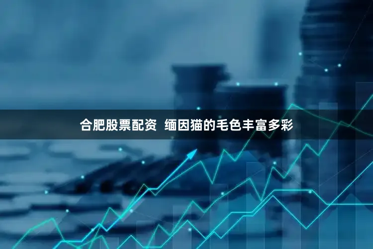 合肥股票配资 缅因猫的毛色丰富多彩
