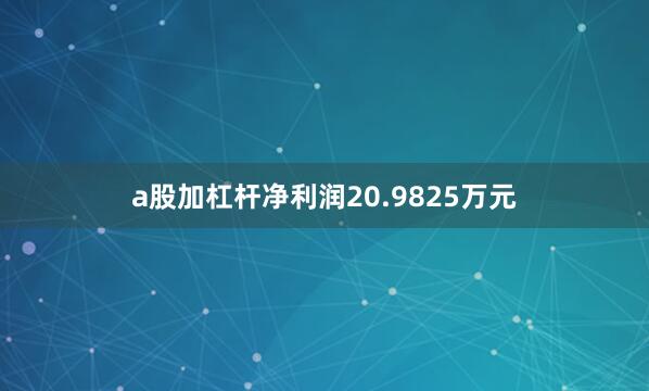 a股加杠杆净利润20.9825万元