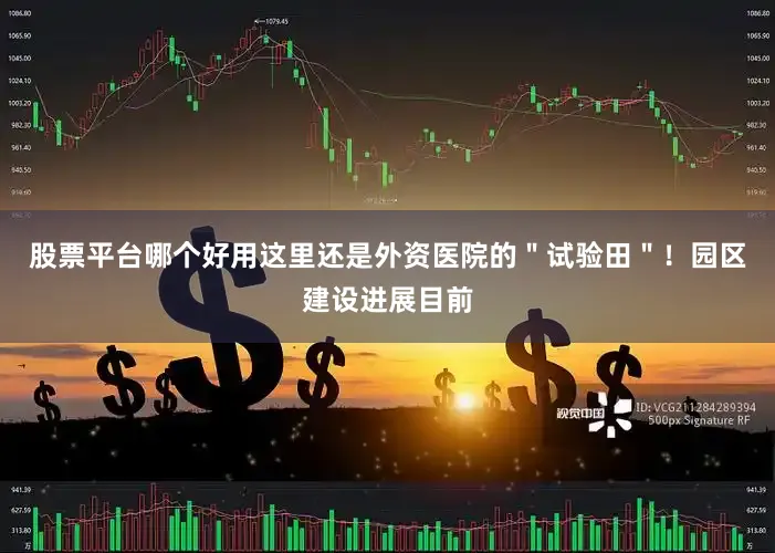 股票平台哪个好用这里还是外资医院的＂试验田＂！园区建设进展目前